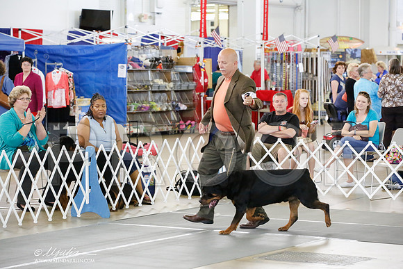 _HR_4194-DallasJul2014-HR3