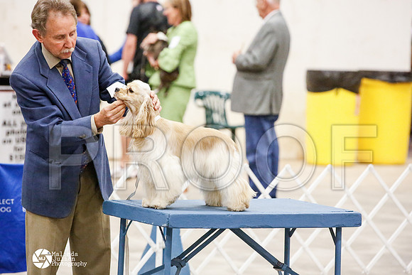 _JN_0668-AblnMay2014-web