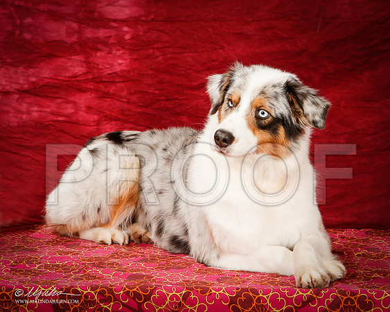 _ST_2347-2-BeltonJan2015-HR3-Edit-BeltonJan2015-HR3