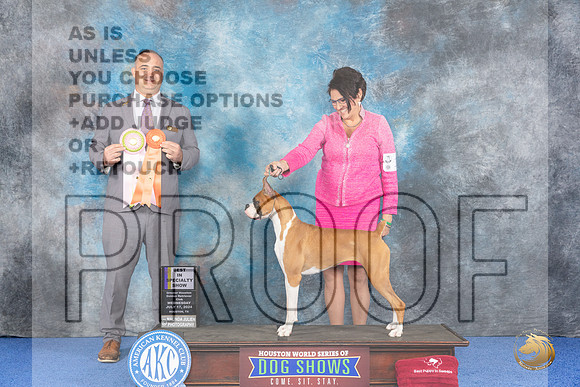 Boxer #10 WED BISw Judge Chris Leitkowski__JP_6523_Houston_2024_HR3