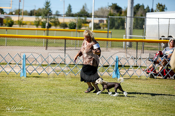 _JN_9538-AlamogordoOct2014-HR3