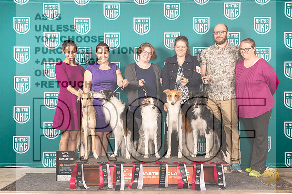 Silken Windhound Total Dogs__JP_2468_UKCEastern_2024_HR3