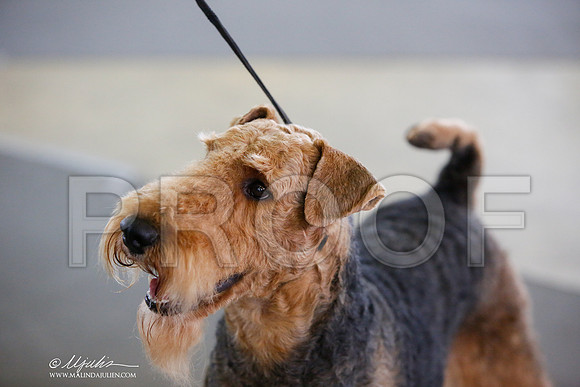 _JJ_2317-DallasJul2014-HR3