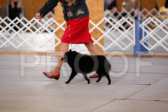 _RH_8821-CarlrolltonSept2014-HR3
