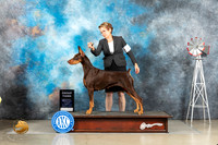 Doberman Pinscher #10 Thur G3 Judge Sharon Derrick