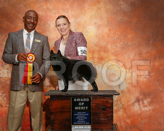 _ST_2383-2-CarlrolltonSept2014-HR3