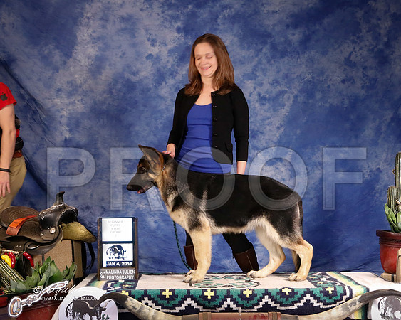 GSD-2829-GRJan14-HR