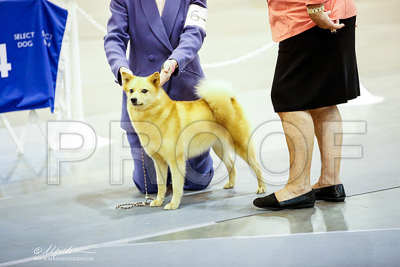 _JN_5247-HstnJul2014-HR3