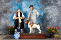 Brittany #25 Sat BISweeps Judge Rebecca Parchman
