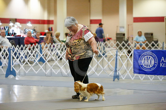 _JJ_1038-AmarilloSept2014-HR3