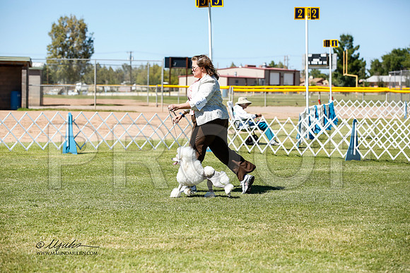 _JN_0985-AlamogordoOct2014-HR3