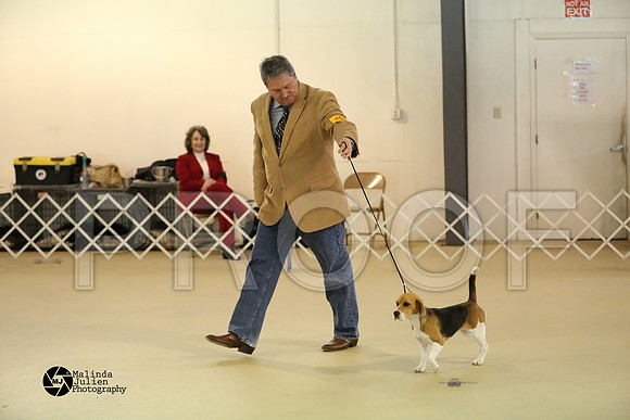 beag-0429-HtoJan14-HR
