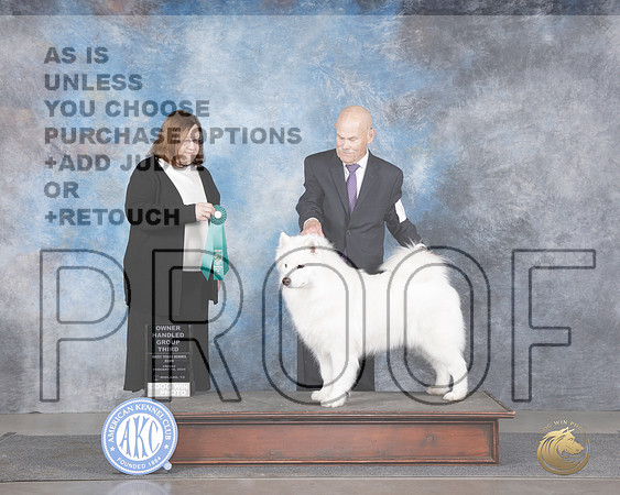 Samoyed #8 Fri G3 Judge Elizabeth Muthard__WP_5751e_Midland 2025_HR3