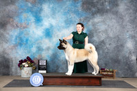 Akita #10 Sat WBM Judge Joan Liebes