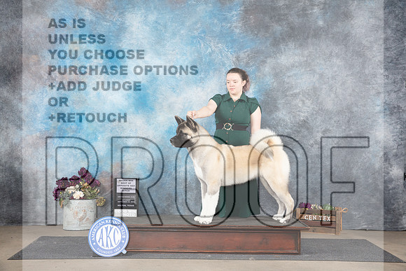 Akita #10 Sat WBM Judge Joan Liebes__JP_7019_Belton_2024_HR3