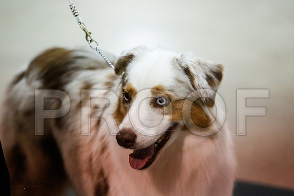 _JN_8696-ASCACollegeStationNov2014-HR3