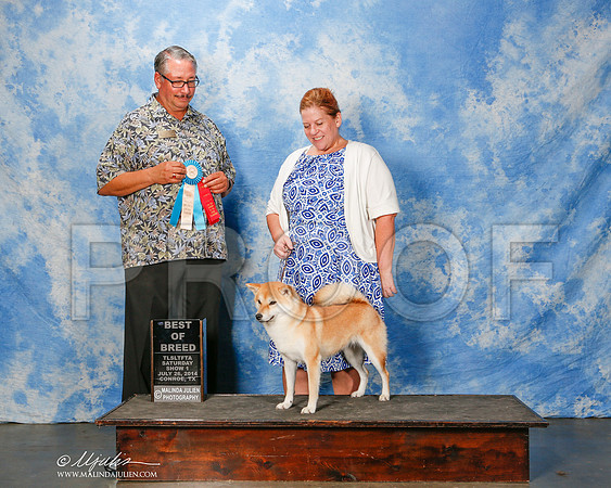 _ST_9798-2-CnroeJul2014-HR3