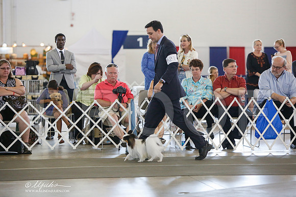 _JJ_3397-DallasJul2014-HR3