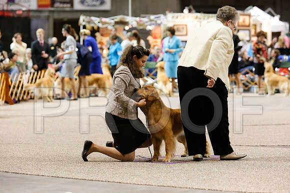 BoBG-5054-WFOct2013-HR