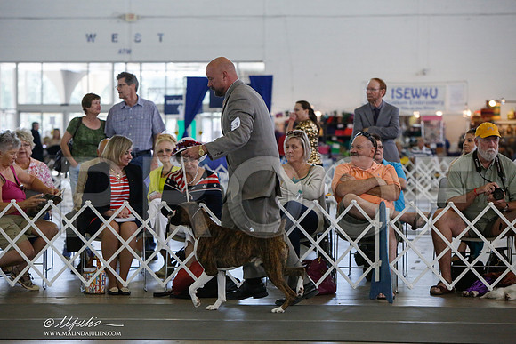 _JJ_1770-DallasJul2014-HR3