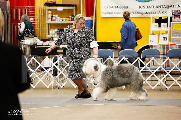 _RH_2220-AddisonHuskyMar2015-HR3