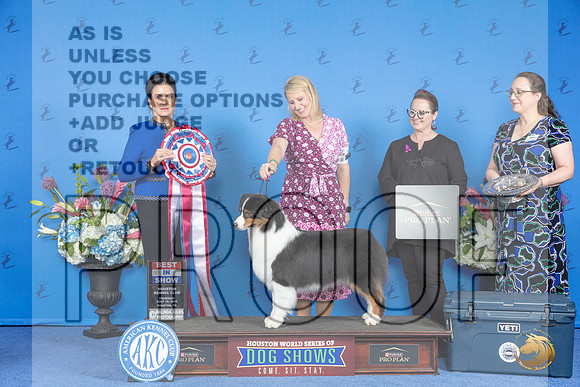 Australian Shepherd #15 THUR BIS Judge Debbie Freeman__JP_8626_Houston_2024_HR3
