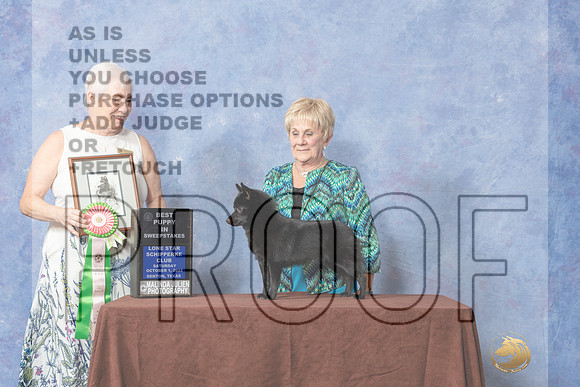 #24 BPup Sweeps  Judge Sandra Ebarb-_CL_8961_Schip_2022-HR3