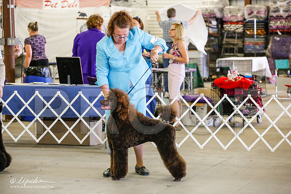 _JJ_4590-AlamogordoOct2014-HR3