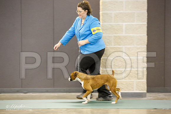 _JN_1634-BeltonJan2015-HR3