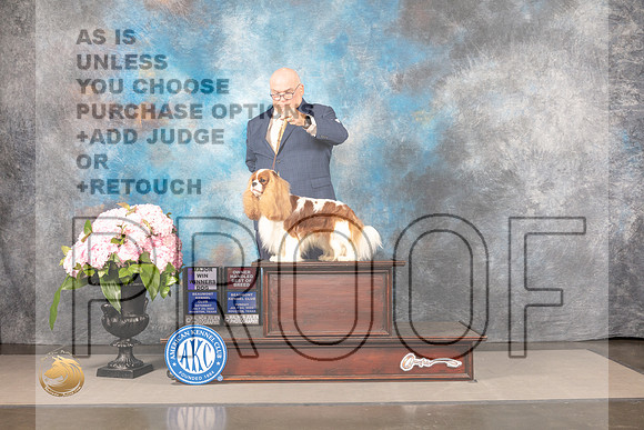 Cavalier King Charles Spaniel #15 Sat WDOHBOB Judge Linda Hurlebaus_MJ_7814_Houston_2022_HR3