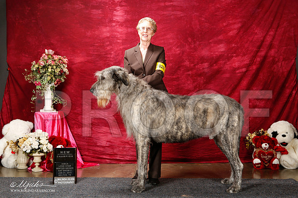 _ST_2869-2-BeltonJan2015IABCA-HR3