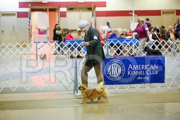 _JJ_8250-AmarilloSept2014-HR3