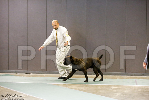 _J3L0688-BeltSep2014-HR
