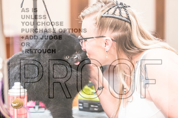 *Candids Pomeranian Fri JJL_3623_HstnTOY_2022_HR3