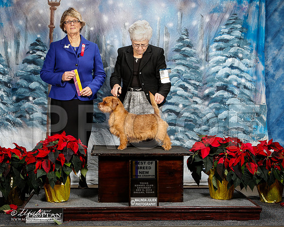_ST_8816-2-DallasDec2014-HR3
