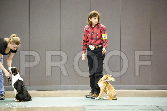 _JN_3338-BeltonJan2015-HR3