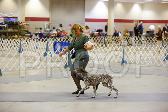 _JN_9190-AmarilloSept2014-HR3