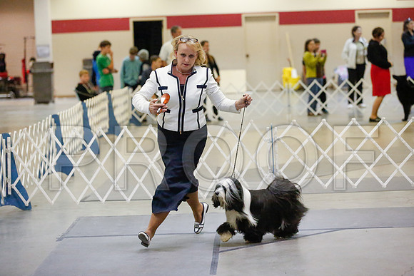 _JJ_8173-AmarilloSept2014-HR3