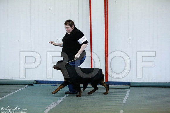 _MJ_4501-DentonMar2015-HR3
