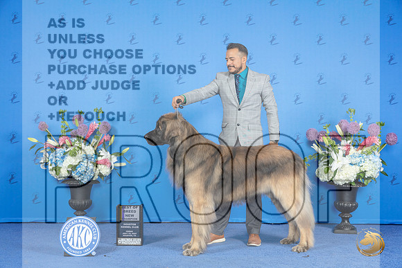 Leonberger #7 FRI BOB NC Judge Douglas Johnson r__JP_0220_Houston_2024_HR3