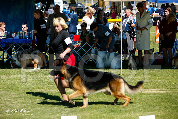 _JJ_5462-AlamogordoOct2014-HR3
