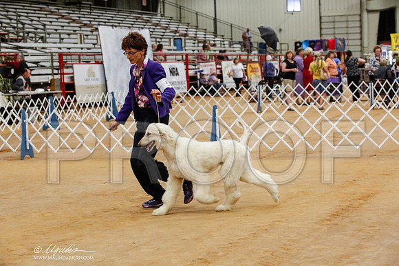 _HR_7746-TxArJun2014-HR3