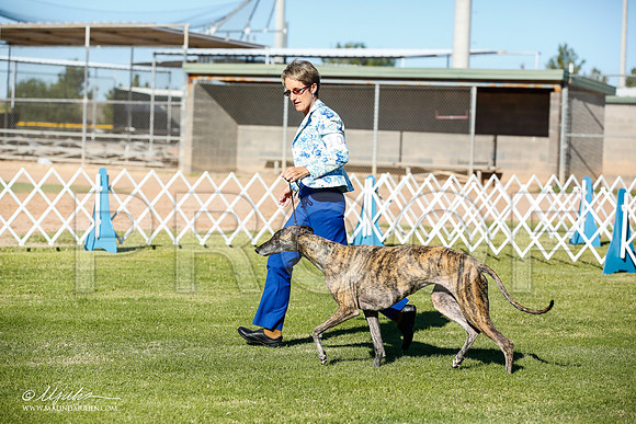 _JN_5688-AlamogordoOct2014-HR3