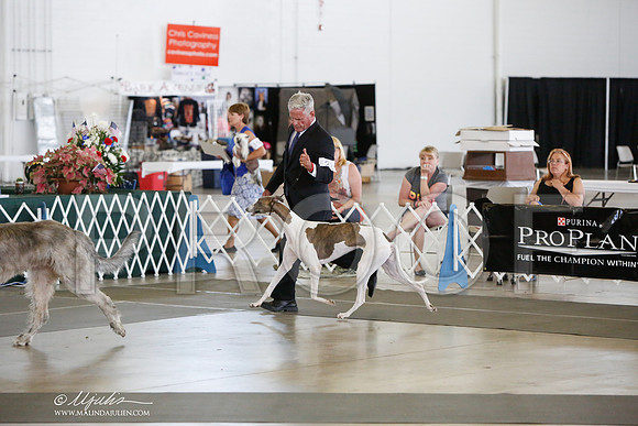 _JJ_1523-DallasJul2014-HR3