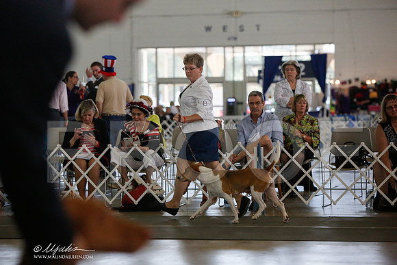 _JJ_2691-DallasJul2014-HR3