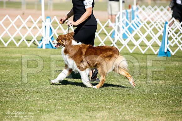 _JN_8632-AlamogordoOct2014-HR3