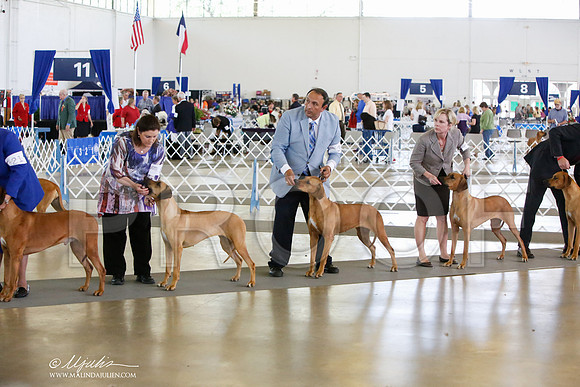 _JJ_1010-DallasJul2014-HR3