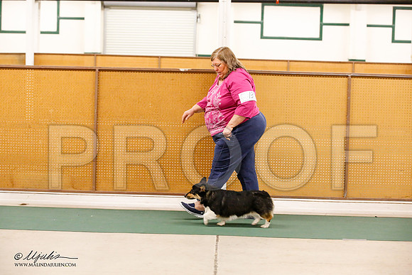 _JN_0257-NrmnNov2014-HR3