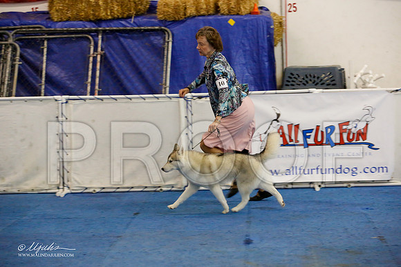_M3_0700-AddisonHuskyMar2015-HR3