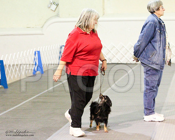 Beg Nov B Sat-8131